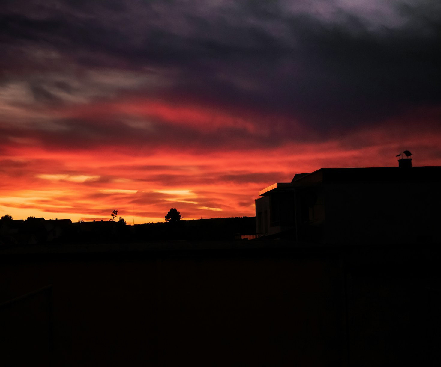 Finding Beauty in Everyday Artistic Expressions